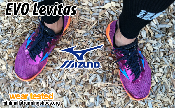 mizuno wave evo levitas 2