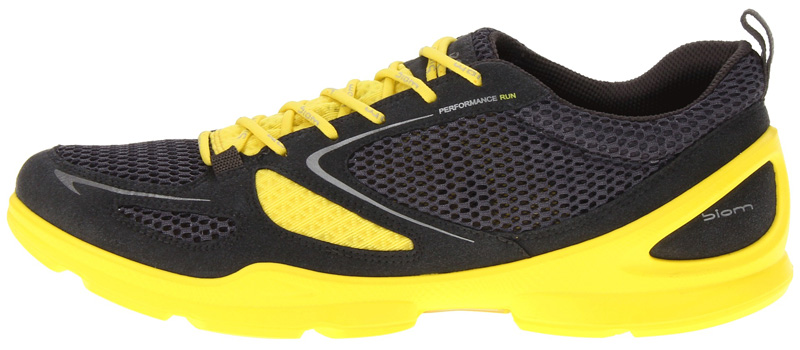 Ecco biom evo outlet trainer review