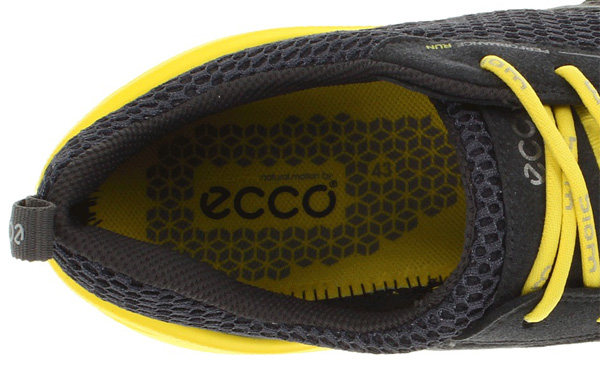 Ecco biom shop evo trainer review