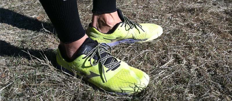 Mizuno Wave EVO Ferus Shoe Review Quick Precise Gear Reviews