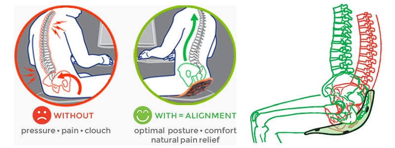 Official BackJoy Website - Back Pain Relief & Posture Support