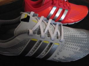 adipure 2013